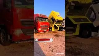 Что делать с осиным гнездом? #большегруз #truckerboy #дальнобой #дальнобойщики