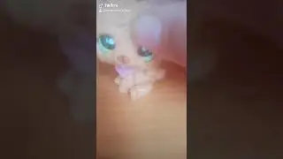 Wbijać na tik toka