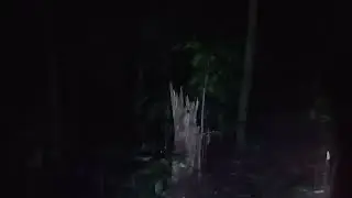 ceklok hutan larangan