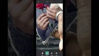 PicsArt mirror effect photo editing 