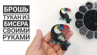 2 options toucan brooch