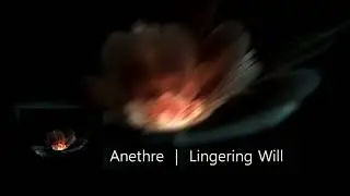 Anethre | Lingering Will
