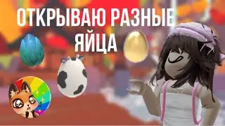 ОТКРЫВАЮ РАЗНЫЙ ЯЙЦА В АДОПТ МИ//ВЫПАЛИ ЛЕГИ?!