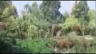 Парк Утопия