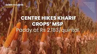 Centre hikes Kharif crops’ MSP; paddy at Rs 2,183 per quintal