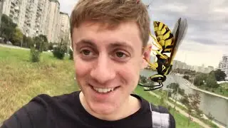 Укусила оса! Прохожу мед. обследование, гуляю // Неудачное собеседование // Правильный ужин!