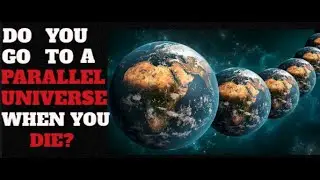 Does your consciousness go to a PARALLEL universe when you die?