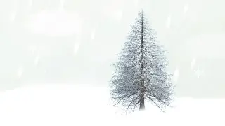 How to create a winter snow scene in Adobe Photoshop CC