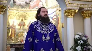 О рабстве и свободе