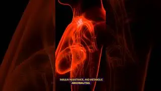 Why does diabetes increase the risk of cardiovascular diseases? #shorts