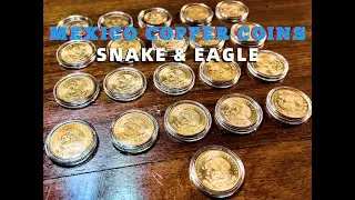 MEXICO SNAKE AND EAGLE COINS
