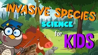 Invasive Species | Science for Kids