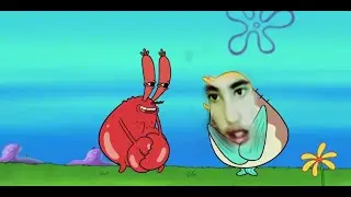 קצת מקום בעולם