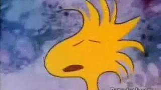 The Charlie Brown & Snoopy Show