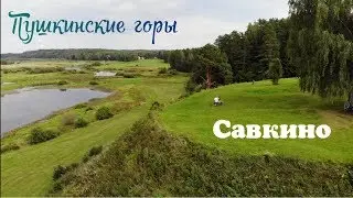 Городище Савкино в Пушкинских горах