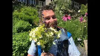 Bankgeflüster Appenzellerland - A. Vogel Heilpflanzen-Schaugarten