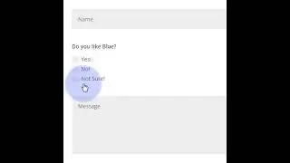 Divi Theme Using Conditional Logic On A Form