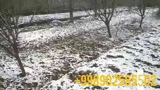 Қорни остидаги ЧУВАЛЧАНГЛАР холати қандай ТЕЛ: 902585502