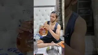 Labrodog 12 Years Old #shortvideo