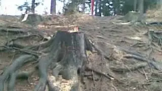 Rohozná 2009 VYKÁCENO