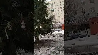 Возле ёлка Новомичуринск-31.12.2023 год.