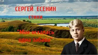 Сергей Есенин  Стихи "Мне осталась одна забава..." @user-vq7lh1uq2i  https://youtu.be/bO2KasEnd88