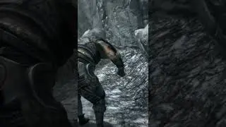 Have you ran into Skyrim Revelers before?