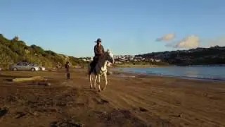 Titahi Bay Sunset