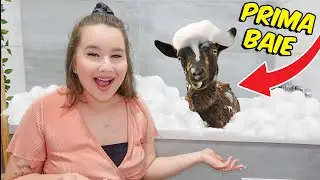 I-AM FACUT PRIMA BAIE CAPREI MELE !