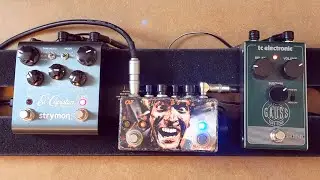 Strymon El Capistan vs TC Gauss Tape Echo