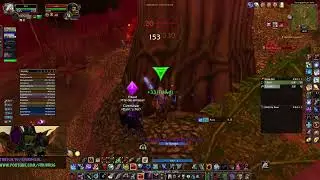 Shadow Priest / MM Hunter - SOD Lone Wolf