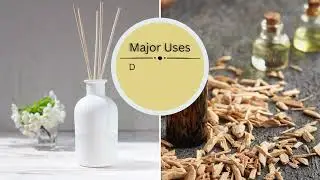 Find Out More about Cedarwood Essential Oil (Himalayan) || Uses and Benefits ||Aarnav Global Exports