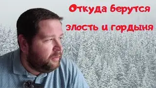 Почему Иоганн Себастьян ЦИНИЧНЫЙ? Откуда берутся злость и гордыня? Как с ними бороться?