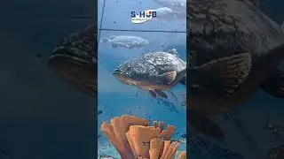 Городское сообщество Картахена