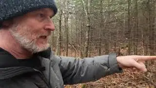 Moving Rock in Ancient Times