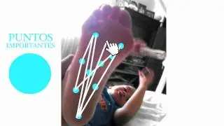 COSQUILLAS