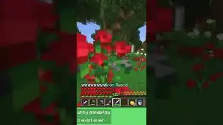 fruitberries traps 2 people