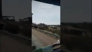 mi papá se asustó con un dinosaurio falso 😂😂