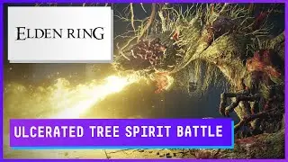 Fighting the Ulcerated Tree Spirit in【ELDEN RING™ 】