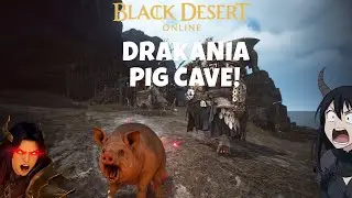 Succession Drakania | Golden Pig Cave  – 22 Min Clear (BDO)