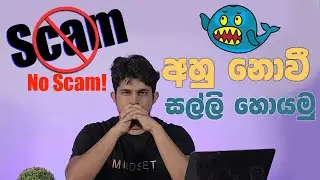 Whale Boost legit or not | How to identify scam websites | What Are Fake Websites?  How Do Use Them?