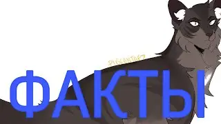 Факты о Дыме|«Коты-Воители»