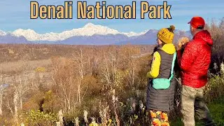 Denali National Park  | Van Life Alaska
