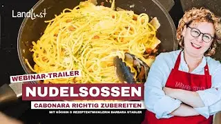 Trailer | Koch-Webinar 