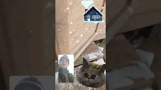 Как построить дом? 