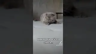 жиза...