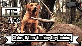 Deer Tracking Dog Training w/ Dean Muthig of Muckdog's Deer Recovery & Training Kennel | Ep: #257