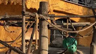Московский зоопарк / Moscow zoo