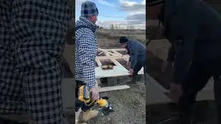 Пила дисковая DeWALT DCS571N в работе