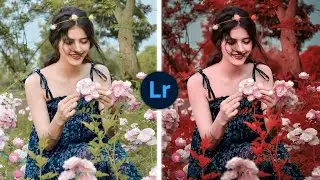 Red And Dark Blue Effect Lightroom Photo Editing Tutorial In Mobile